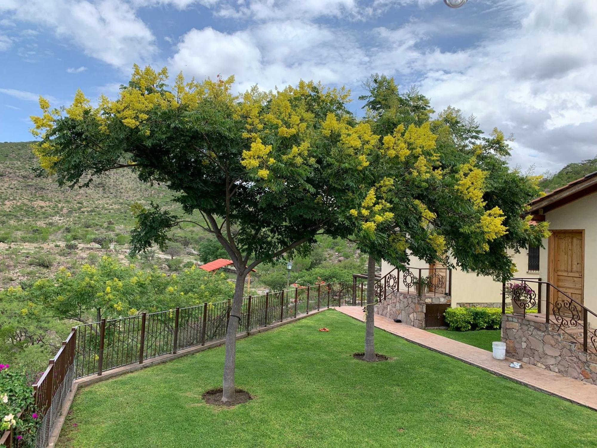 Villa Campestre La Soledad Colon Екстериор снимка