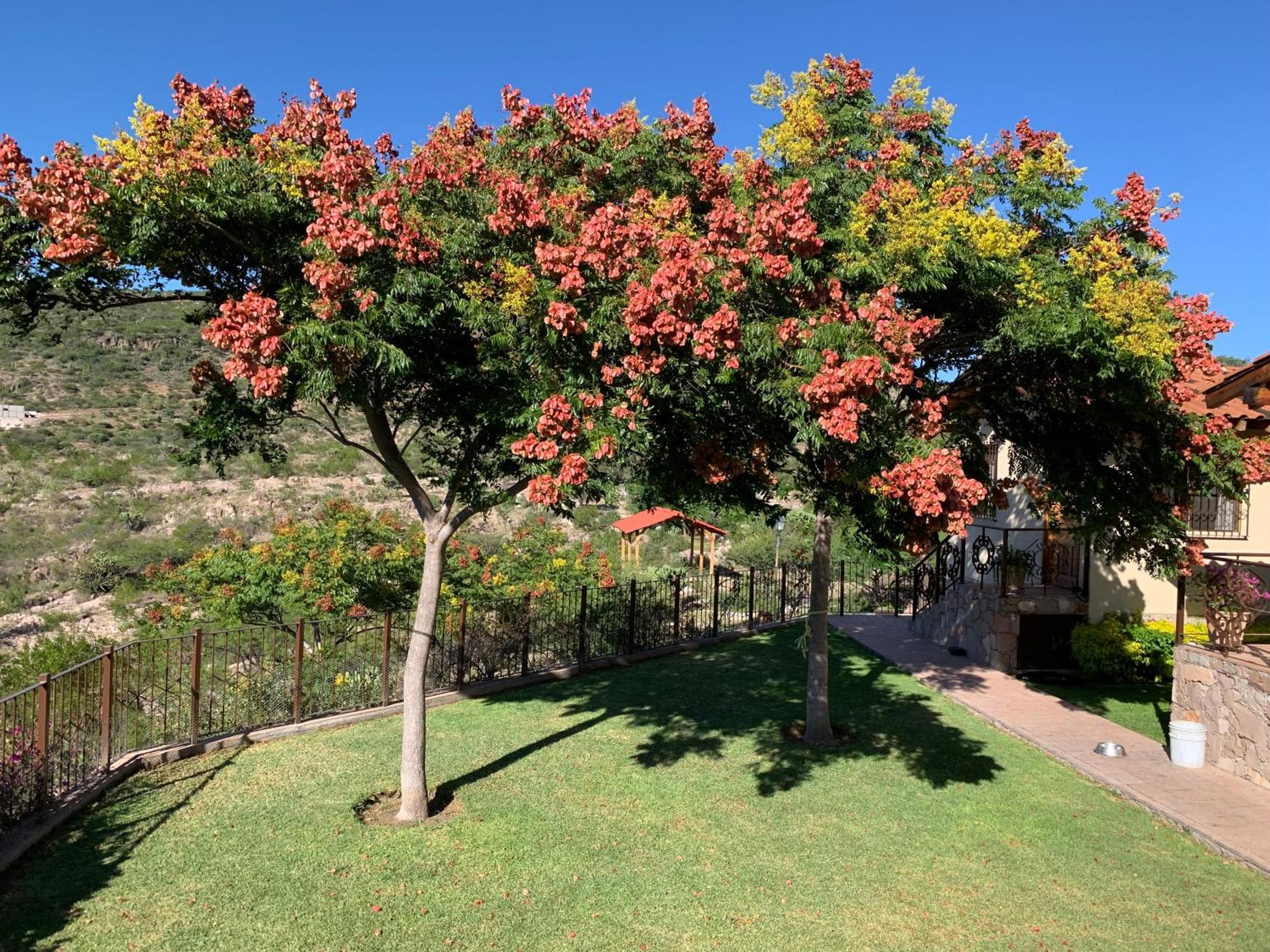 Villa Campestre La Soledad Colon Екстериор снимка